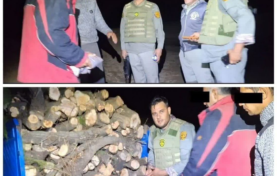 دستگیری باند قطع اشجار تالاب نوروزلو