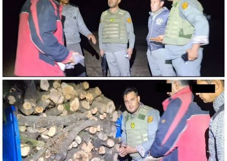 دستگیری باند قطع اشجار تالاب نوروزلو