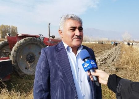 خرید تضمینی بیش از یک میلیون و ۲۰۰ هزار تن چغندرقند از زارعین آذربایجان غربی
