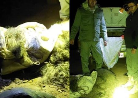 جمع آوری تور‌های صید غیر مجاز از رودخانه زرینه رود چهار برج
