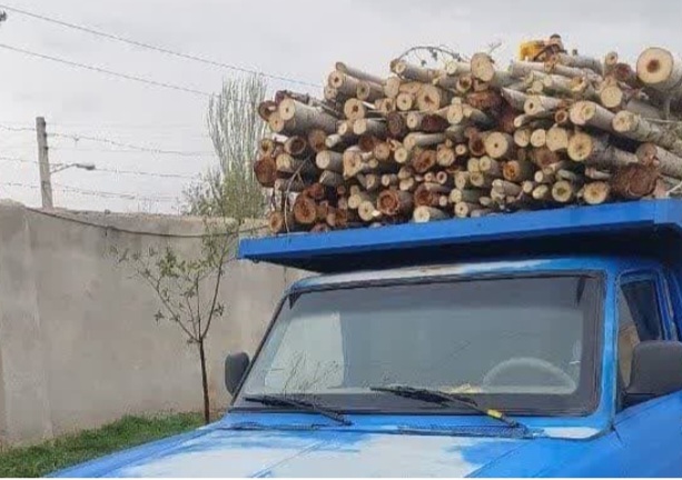 کشف چوب قاچاق از طبیعت باروق 